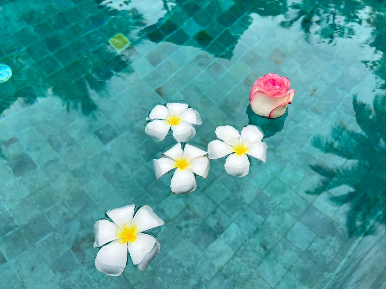 Chill Lay Resort Donsak Don Sak Buitenkant foto